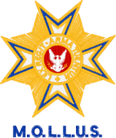 Logo ID: 13231469<br />(MOLLUS Star)