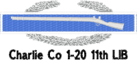 Logo ID: 13828946<br />(CIB Medal)