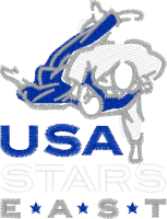 Logo 14029811 (USA Stars East)