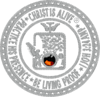 Logo ID: 14551416<br />(CIA Antique Silver Lapel Pin)