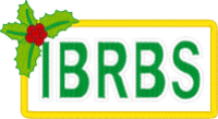 Logo 15308671 (IBRBS Banner)