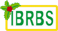 Logo 15308672 (IBRBS Banner)