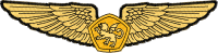 Logo ID: 15401181<br />(BasicRMNAeroWing)