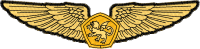 Logo ID: 15401184<br />(BasicRMNAeroWing)