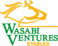 Logo ID: 17640104<br />(WV Stables Logo)