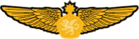Logo ID: 17683233<br />(Sr. Aerospace Wings)