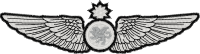 Logo ID: 17683243<br />(Sr. Navigator Wings)
