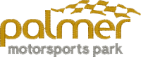 Logo ID: 25973722<br />(Palmer Motorsports Main logo)