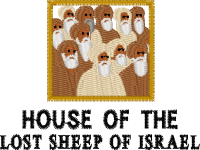 Logo ID: 27921916<br />(Logo of Lost Sheep o)