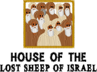 Logo ID: 27921919<br />(Logo of Lost Sheep o)