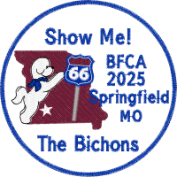 Logo 29405070 (BFCA 2025 logo Bicho)