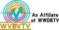 Logo ID: 29959378<br />(wvbvtv)